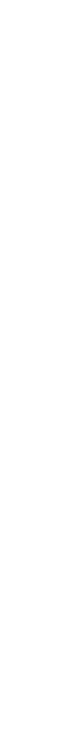 bg.biseau_blanc.gif