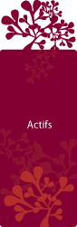 bt_profil_actifs-big.gif