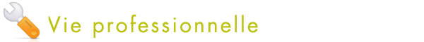 Vie professionnelle