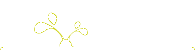 quizz.j_top_vert.gif