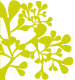 quizz.picto_actif_vert.gif