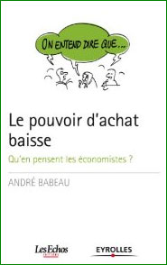 On entend dire que... le pouvoir d'achat baisse. Qu'en pensent les économistes ?