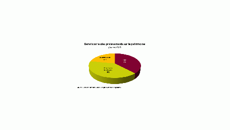 Un rapport sur le patrimoine des ménages et sa fiscalité