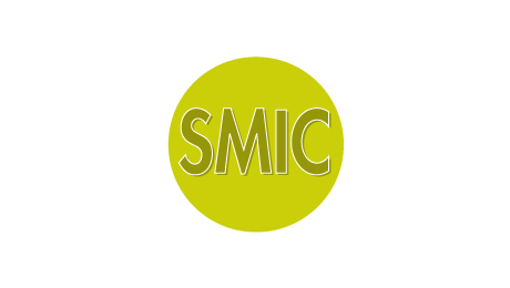 SMIC : une hausse de 0,6 % en 2016