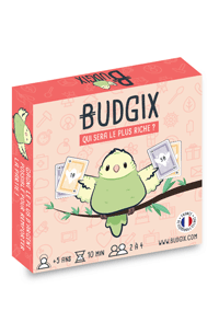 Budgix