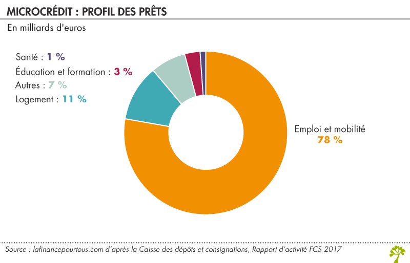 Microcrédit : profil des prêts