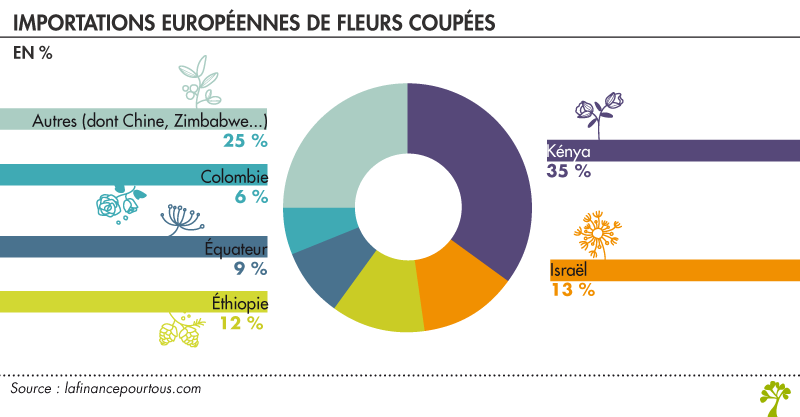 Importation européenne de fleurs