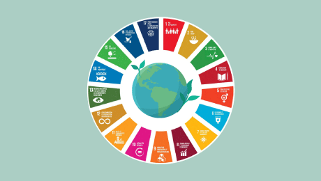 Rapport 2024 de suivi des objectifs de développement durable : un bilan mitigé