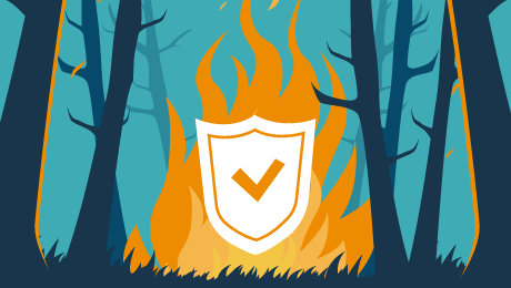 Assurance : quelle indemnisation en cas d’incendie de forêt ?