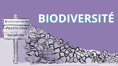 Enjeux des dépenses publiques [11/17] : artificialisation, pesticides et surpêche : une biodiversité sacrifiée ?
