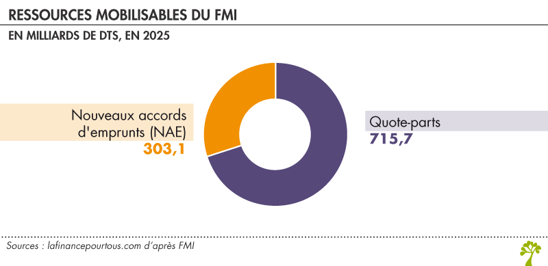 Ressources mobilisables du FMI