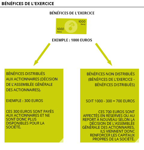 Benefices de l exercice