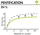 Pentification de la courbe des taux 